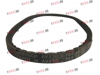 Ремень 10x750 клиновой Европа ЕВРОПА 10x750 фото 1 Симферополь